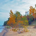 Autumn Beach